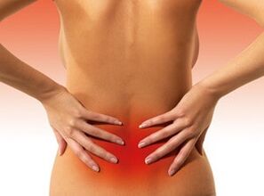 causes of pain in spien in the lumbar region