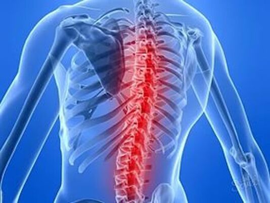 spine disease causes back pain