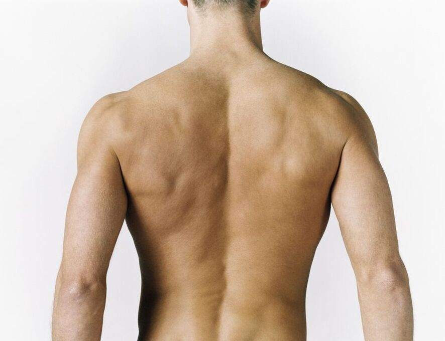 inflammation of the back muscles as a cause of pain between the shoulder blades